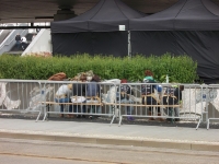 Mozaika na Rondzie Mogilskim w Krakowie