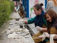 6 czerwca - dzień szósty