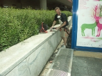 8 czerwca - dzień ostatni