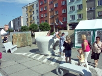 pumba, któa wkrótce pojedzie do Linz