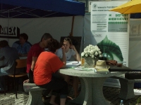 Swieto Granitu Strzegomskiego