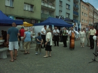 Swieto Granitu Strzegomskiego