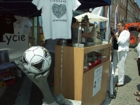 Swieto Granitu Strzegomskiego